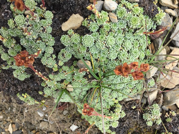 D91E4EDE-C09C-4BC2-AD04-DE3A39418F4C