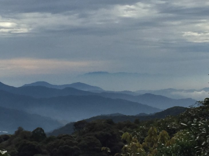 39E8B83D-2AE2-496E-97A6-8BF8B61E0FC4