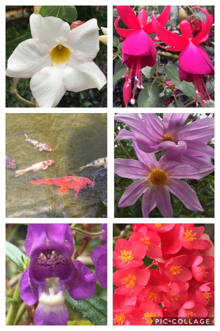 5160171E-8A25-4BB9-A53C-98DCCFC8B983