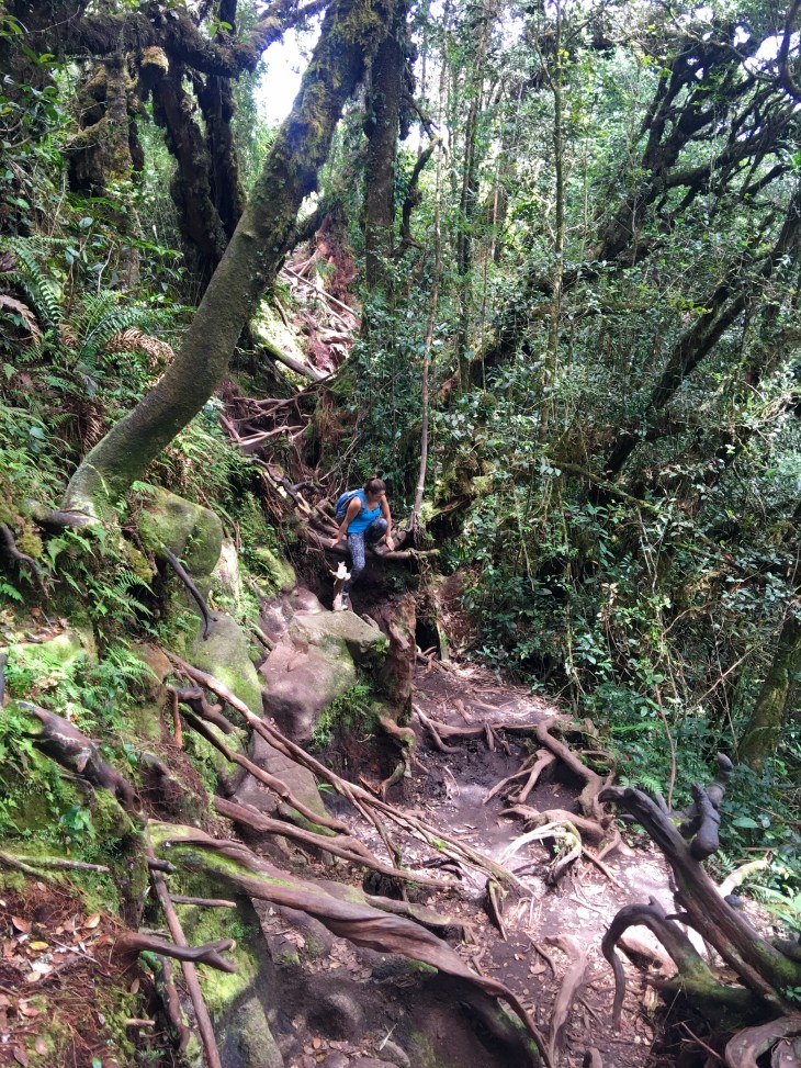 703DDCF6-54AD-4597-8490-9E5340BCFA21