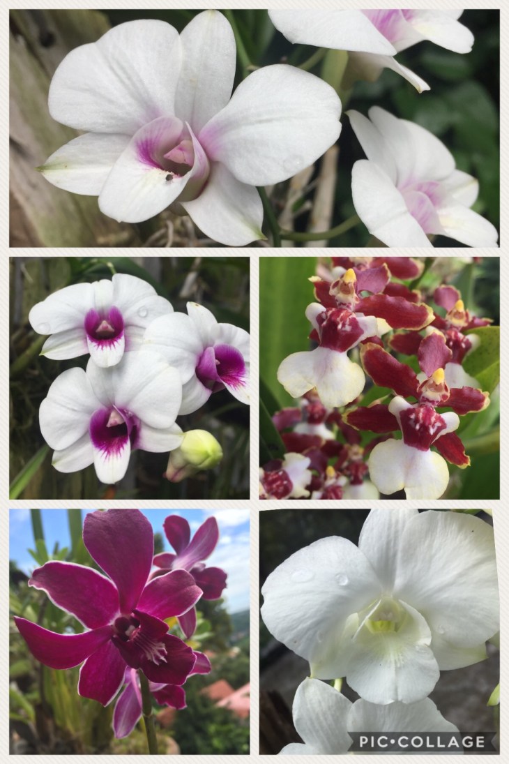 74FCFBD4-0F83-4344-BE6C-00E1D329F837