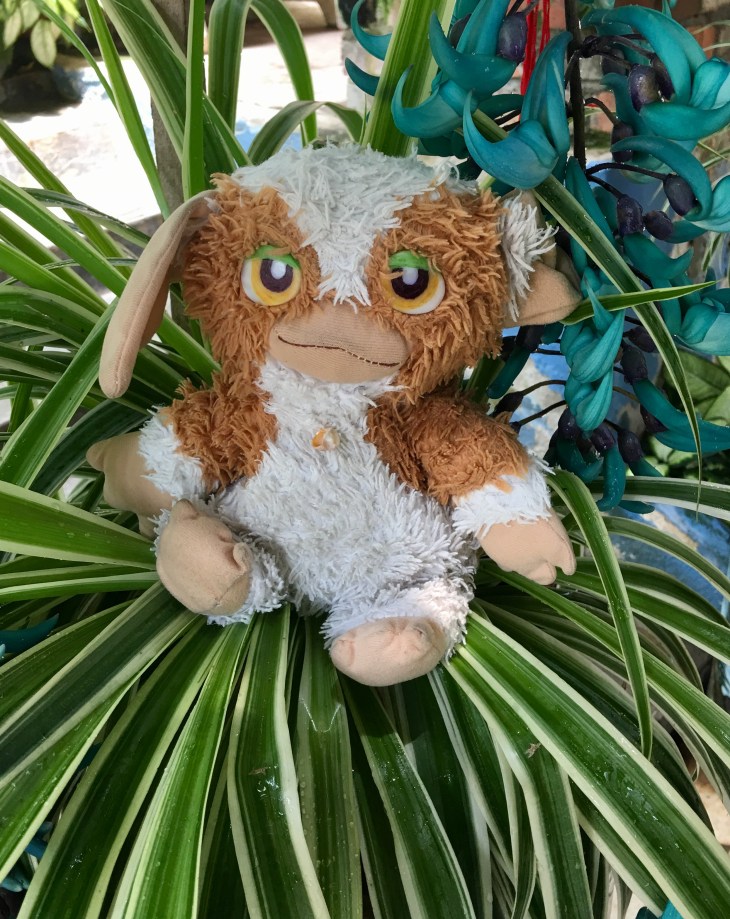 7F353CB6-D05B-4955-813D-DE2D2DDB5D94