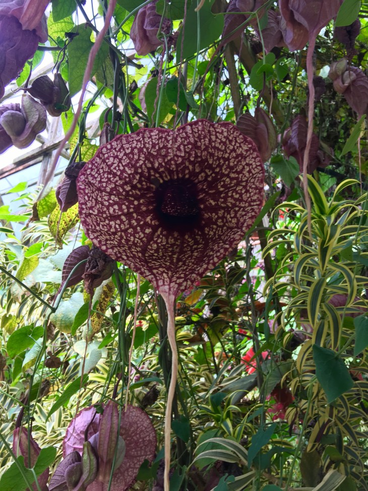 9622B55C-5E15-47B8-8CA5-BB26ED60C1BD