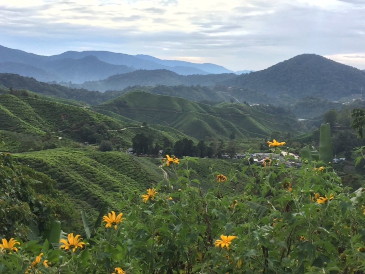 9B9B082C-72BE-4720-B8B4-0F2DFD3FB9E4