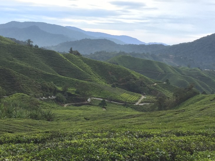 A17C4B83-472E-48D1-A0D4-AABDC06D081B