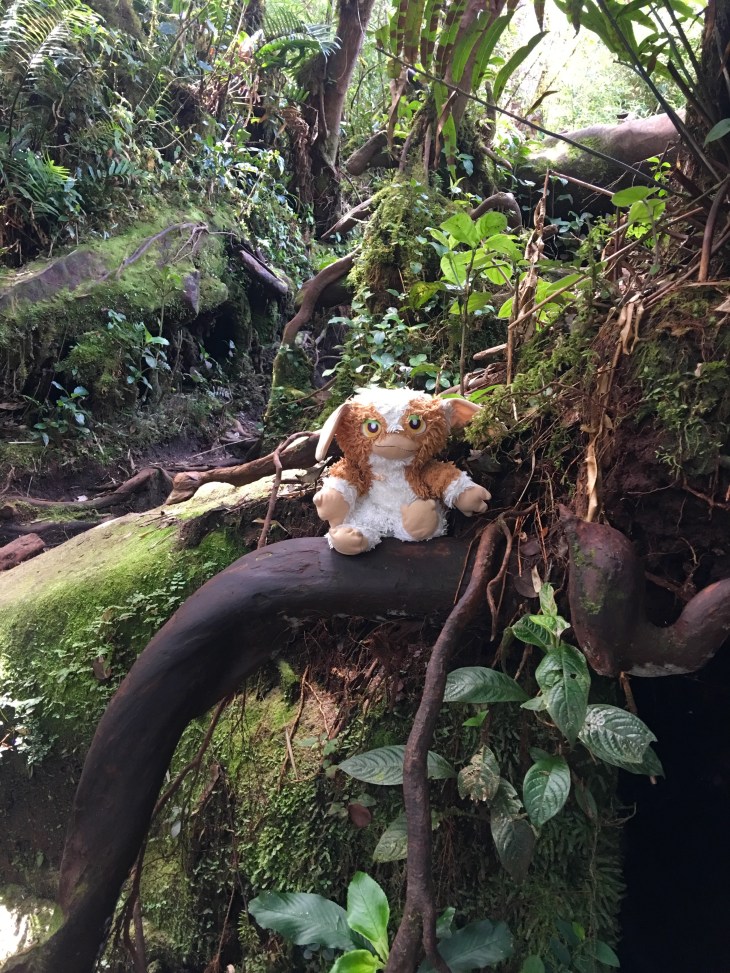 B808FC3C-B0D7-417A-8EDB-0C76E7BF8FAB