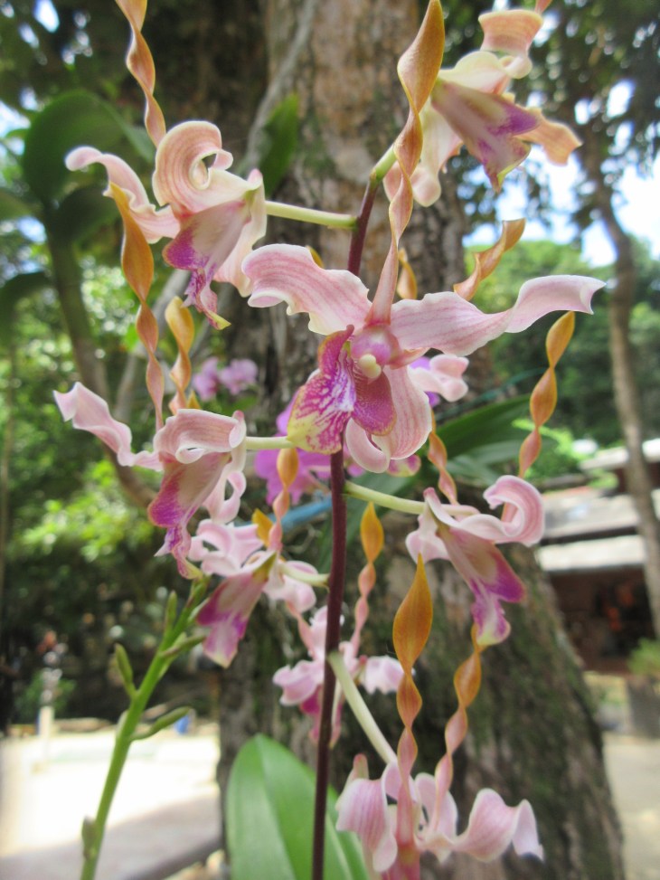 CC57F6BD-C0B7-42B7-9E93-3888FA1E4175