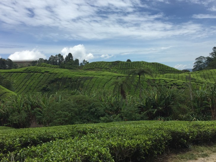 D5187C1B-1359-4755-9CD2-D3A15021AA43