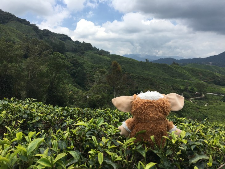 E331D5FE-3857-4B51-8379-37049F1442EC