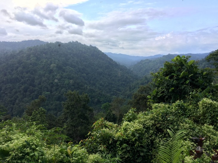 2268798E-AD82-4826-9747-1AAB18D6C9D8