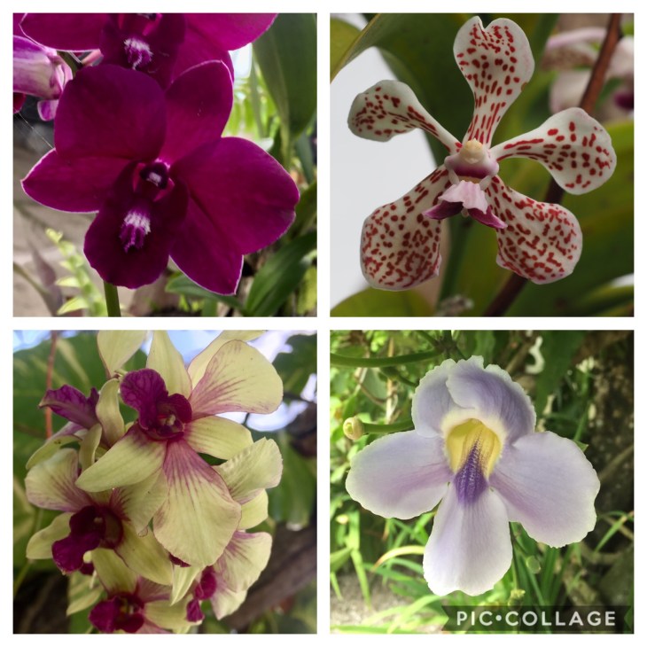 F1431C98-C547-4C6C-8763-17611615C1BE