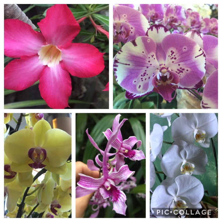 F7C4ACA1-9379-4ABE-A829-6F8FD52FC072