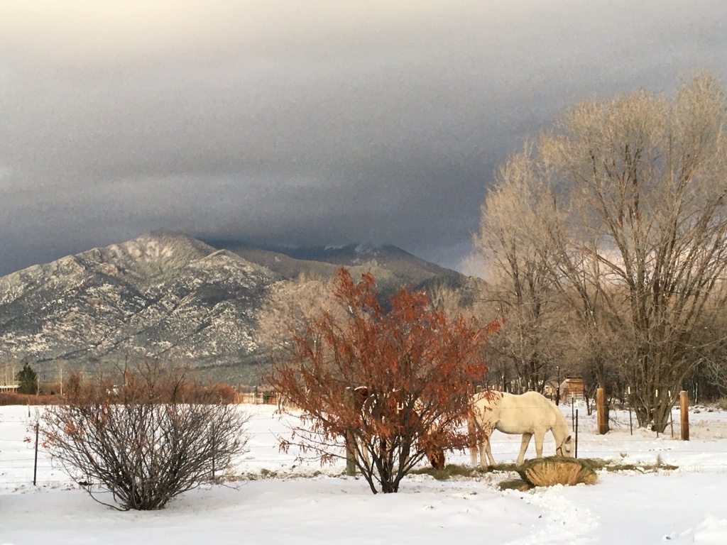 UNADJUSTEDNONRAW_thumb_119cc